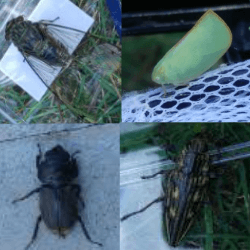 Thumbnail of post image 023